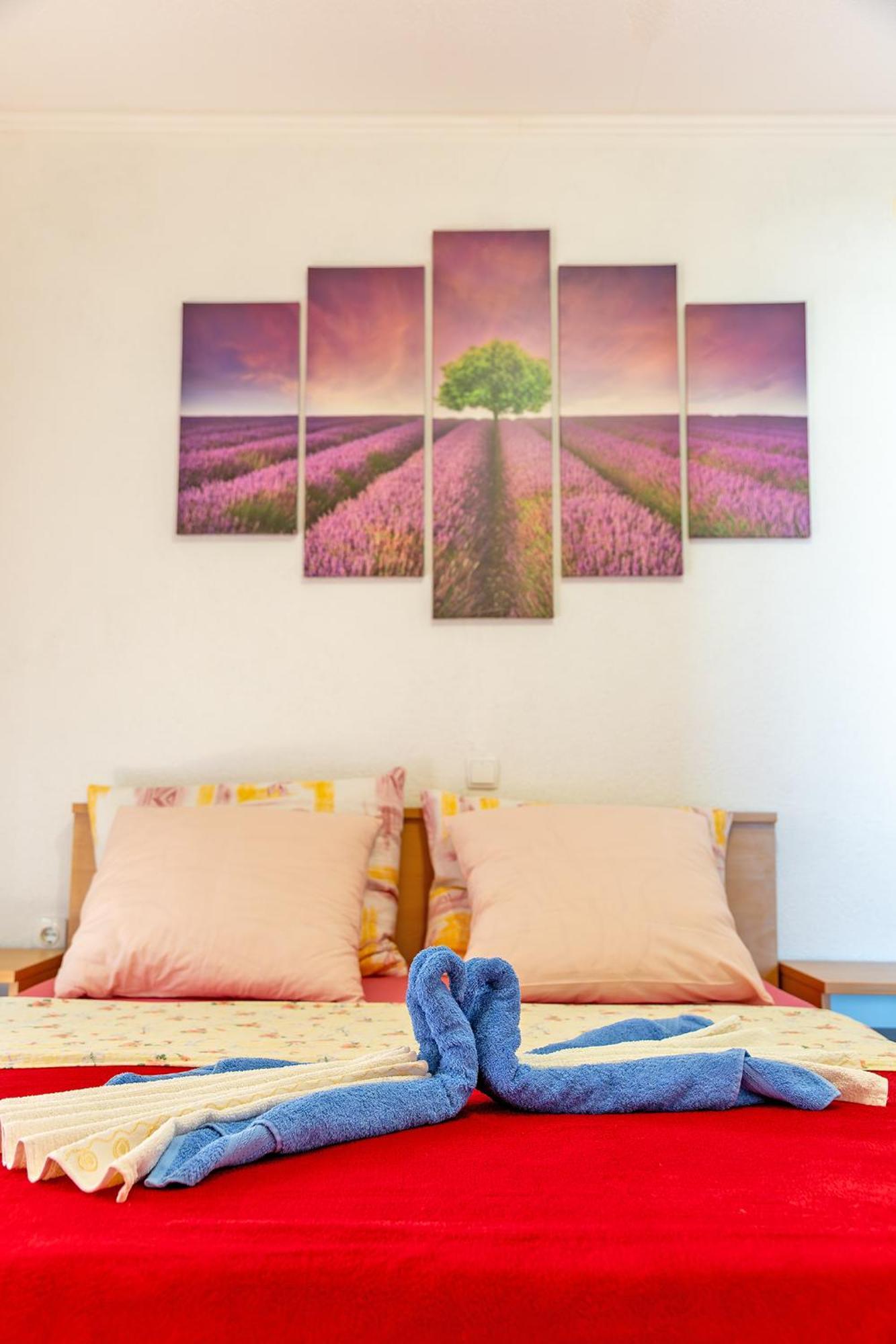 Apartment Anamaria 파그 외부 사진